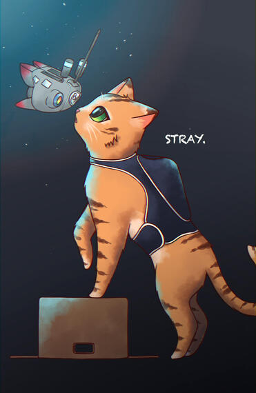 stray